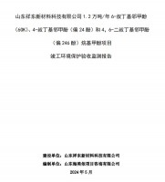 山東祥東新材料科技有限公司1.2萬(wàn)噸/年6-叔丁基鄰甲(60K)、4-叔丁基鄰甲酚(偏 24 酚)和 4，6-二叔丁基鄰甲酚(偏 246 酚)烷基甲酚項(xiàng)目竣工環(huán)境保護(hù)驗(yàn)收監(jiān)測(cè)報(bào)告